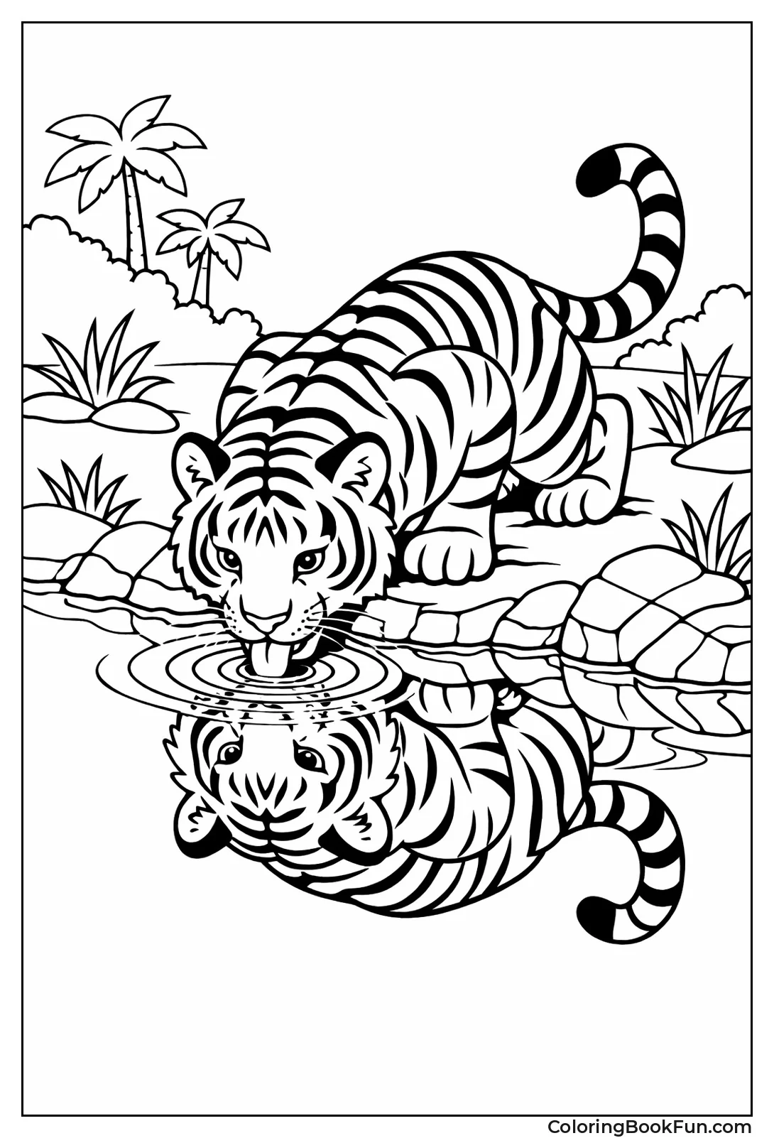 Tiger Drinking Water