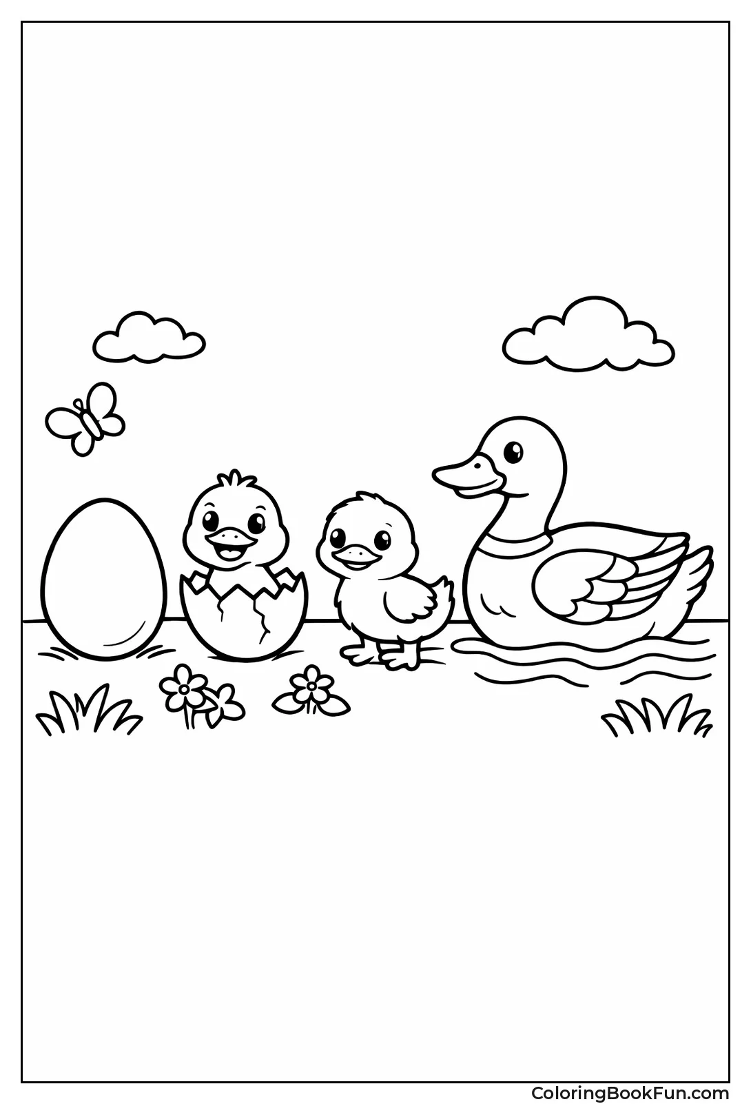 Duck Life Cycle Stages