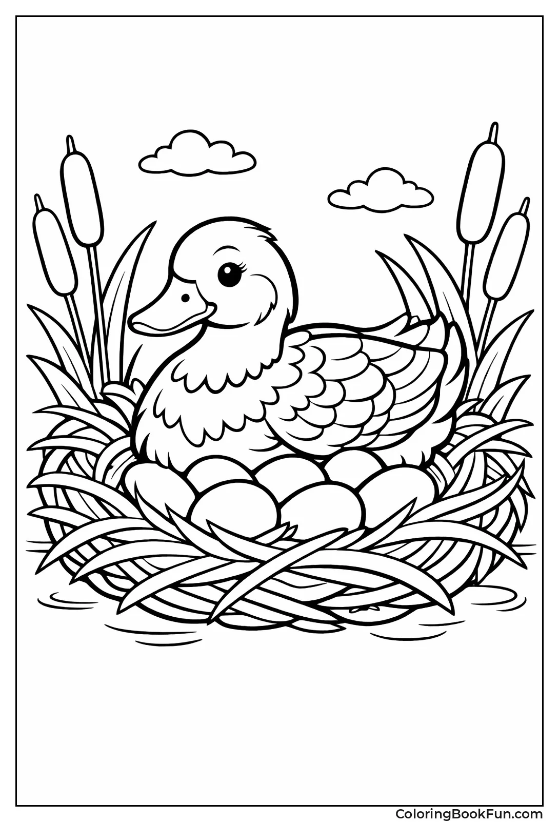 Nesting Mallard on Eggs