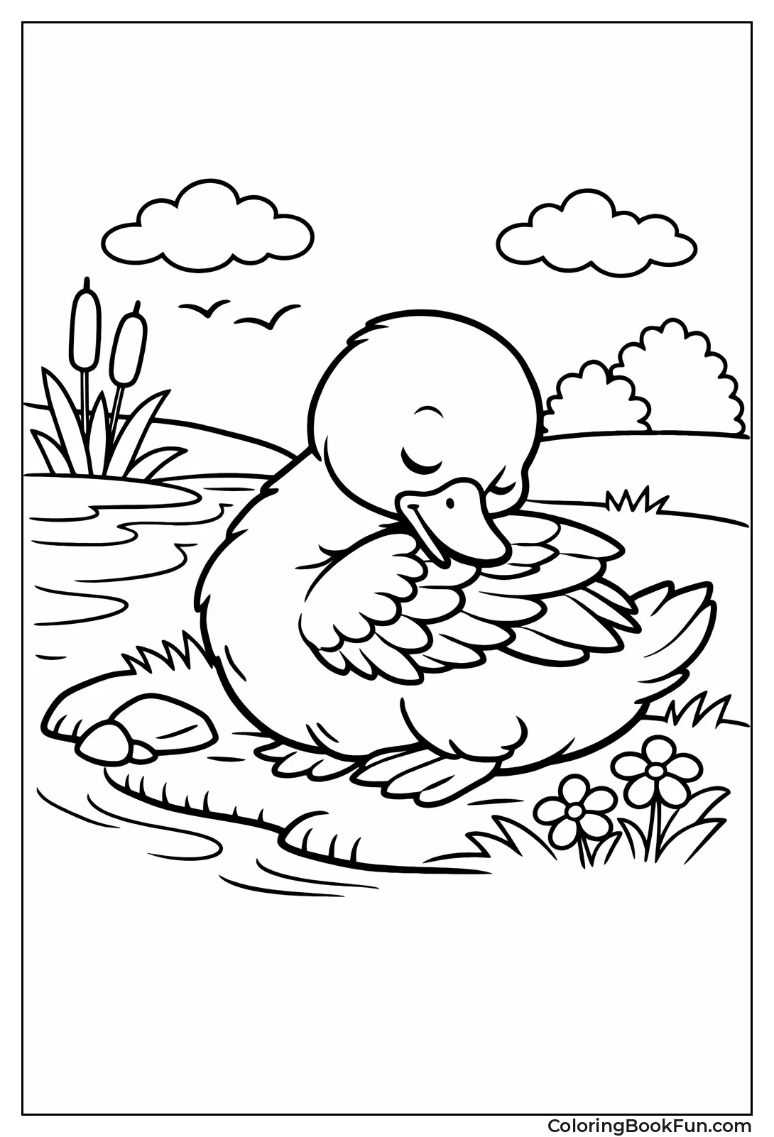 Preening Duck on Bank