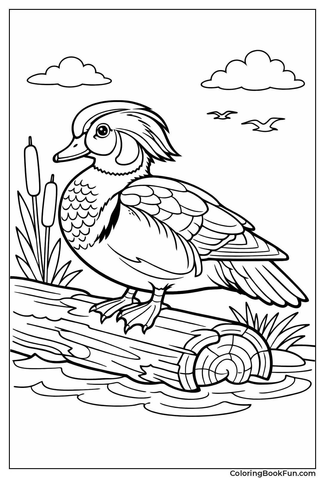 Elegant Perched Wood Duck