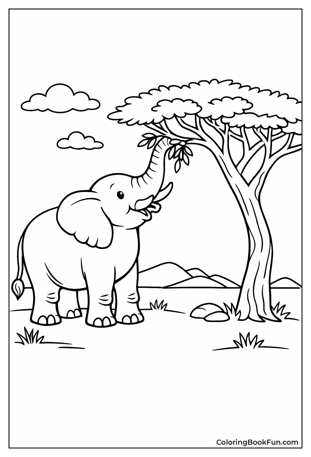 Elephant Pulls Acacia Leaves