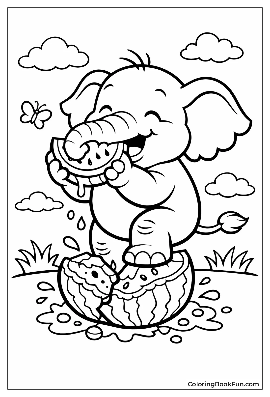 Elephant Cracks Watermelon