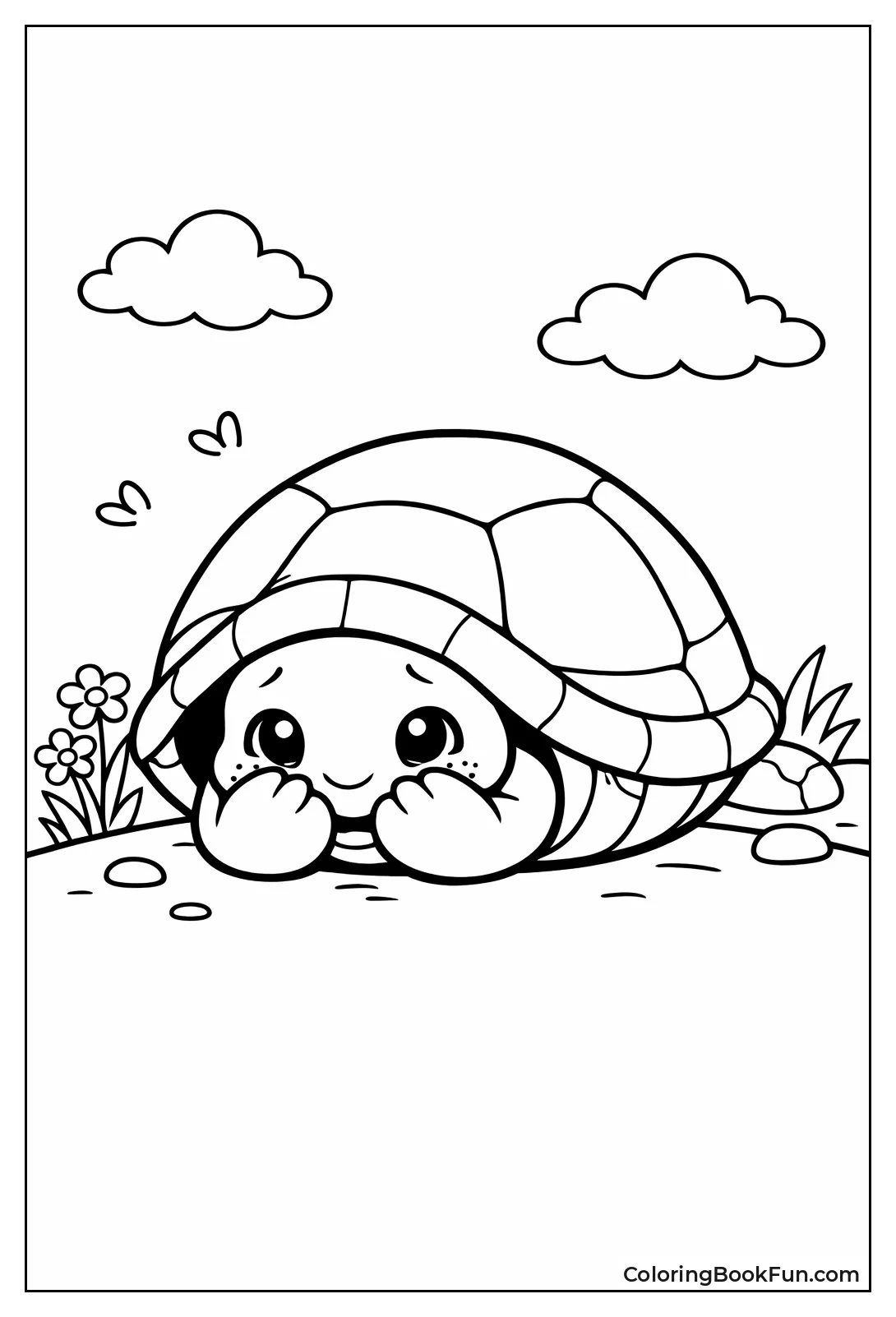 The Shy Turtle