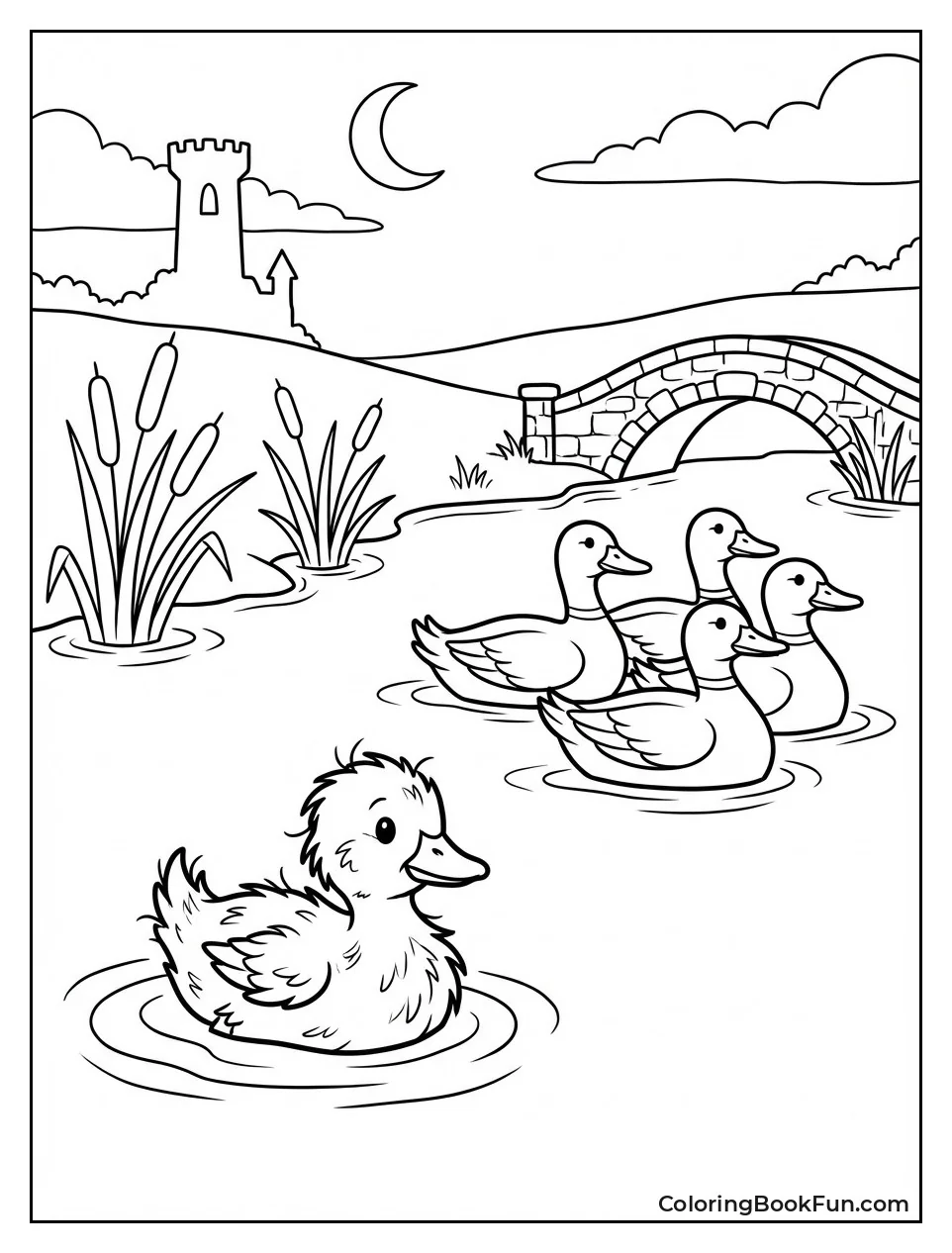 Lonely Duckling on Pond