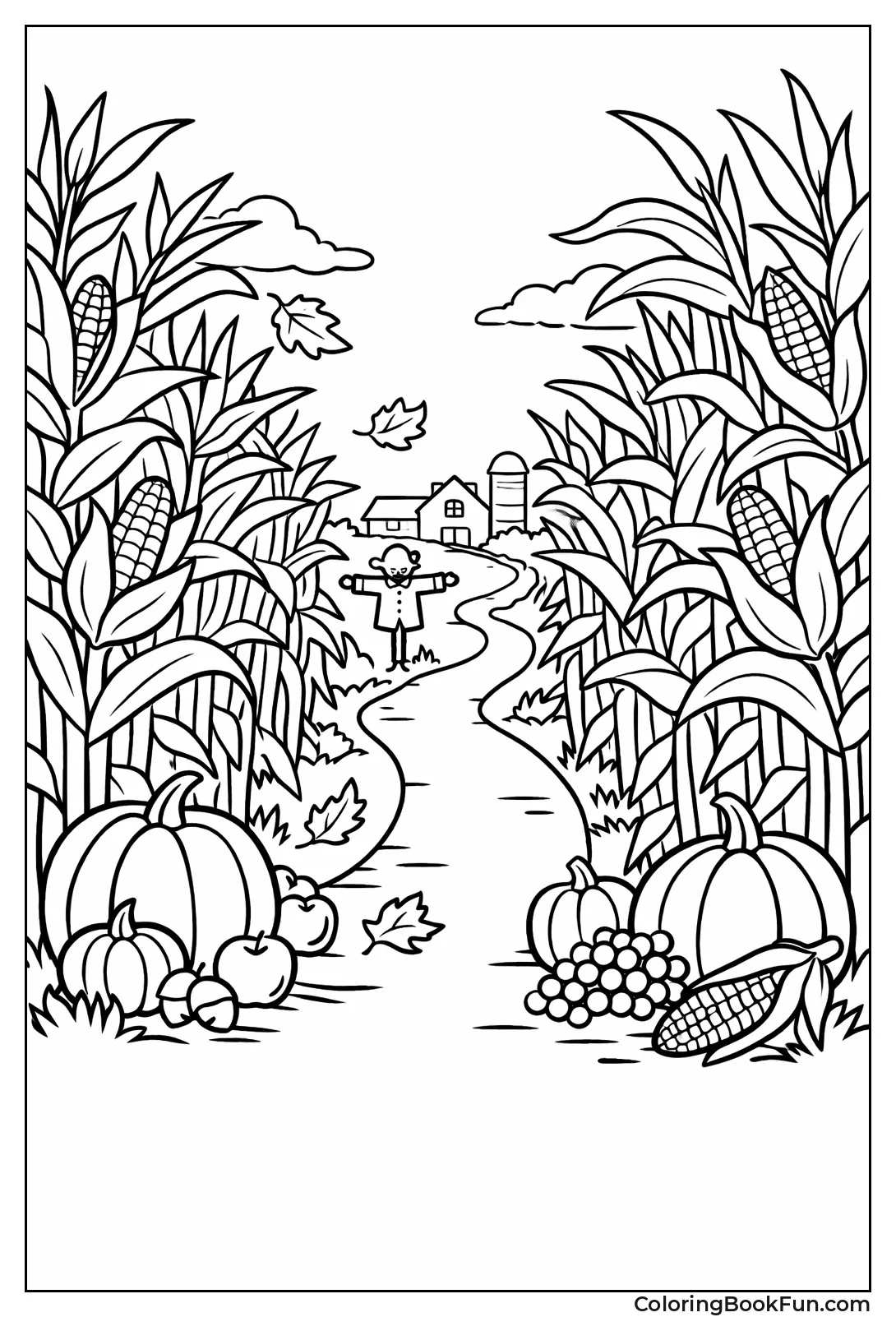 Path Winds through Corn Maze