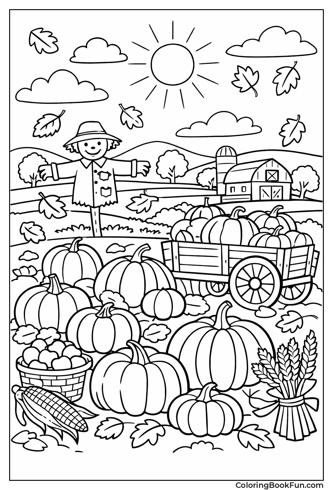 Pumpkins Fill Sunny Field