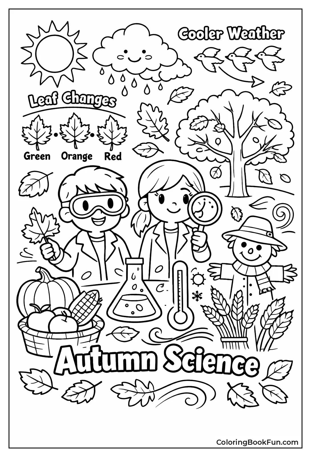 Fall Leaves and Harvest