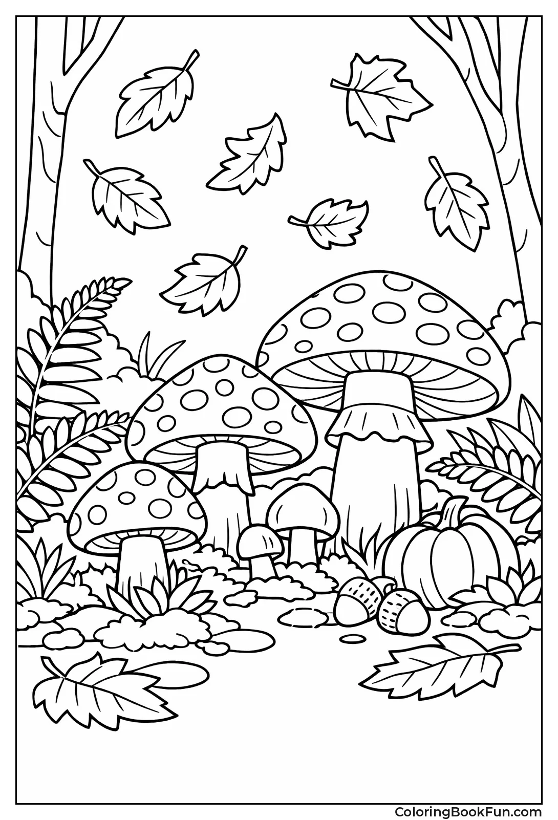 Mushrooms Grow on Forest Floor