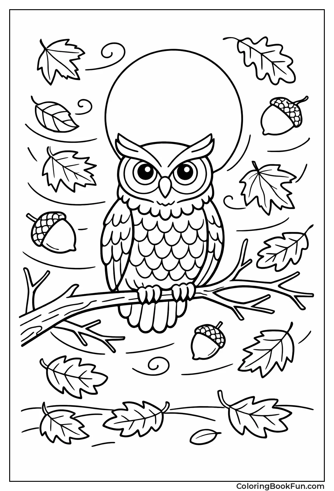 Owl Perches on Branch