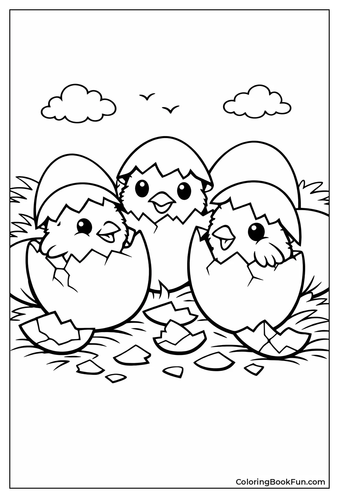Chicks Hatching from Eggs