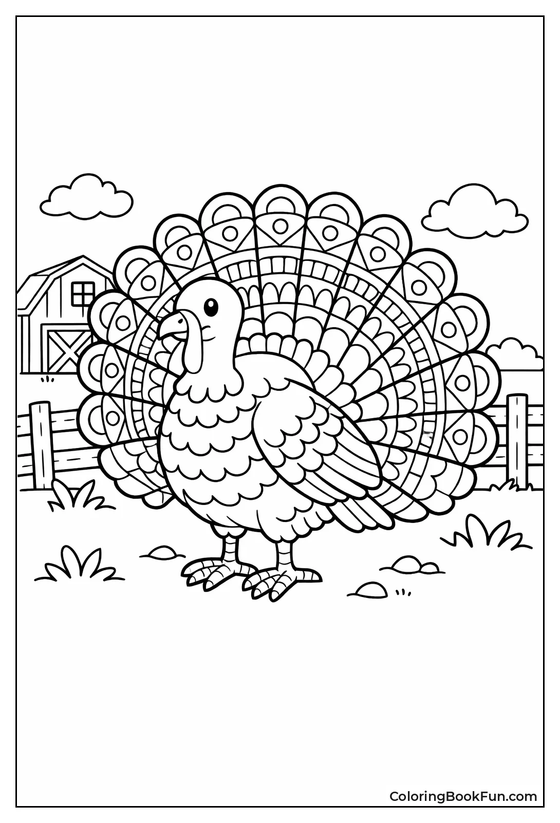 Detailed Fanned Turkey Feathers