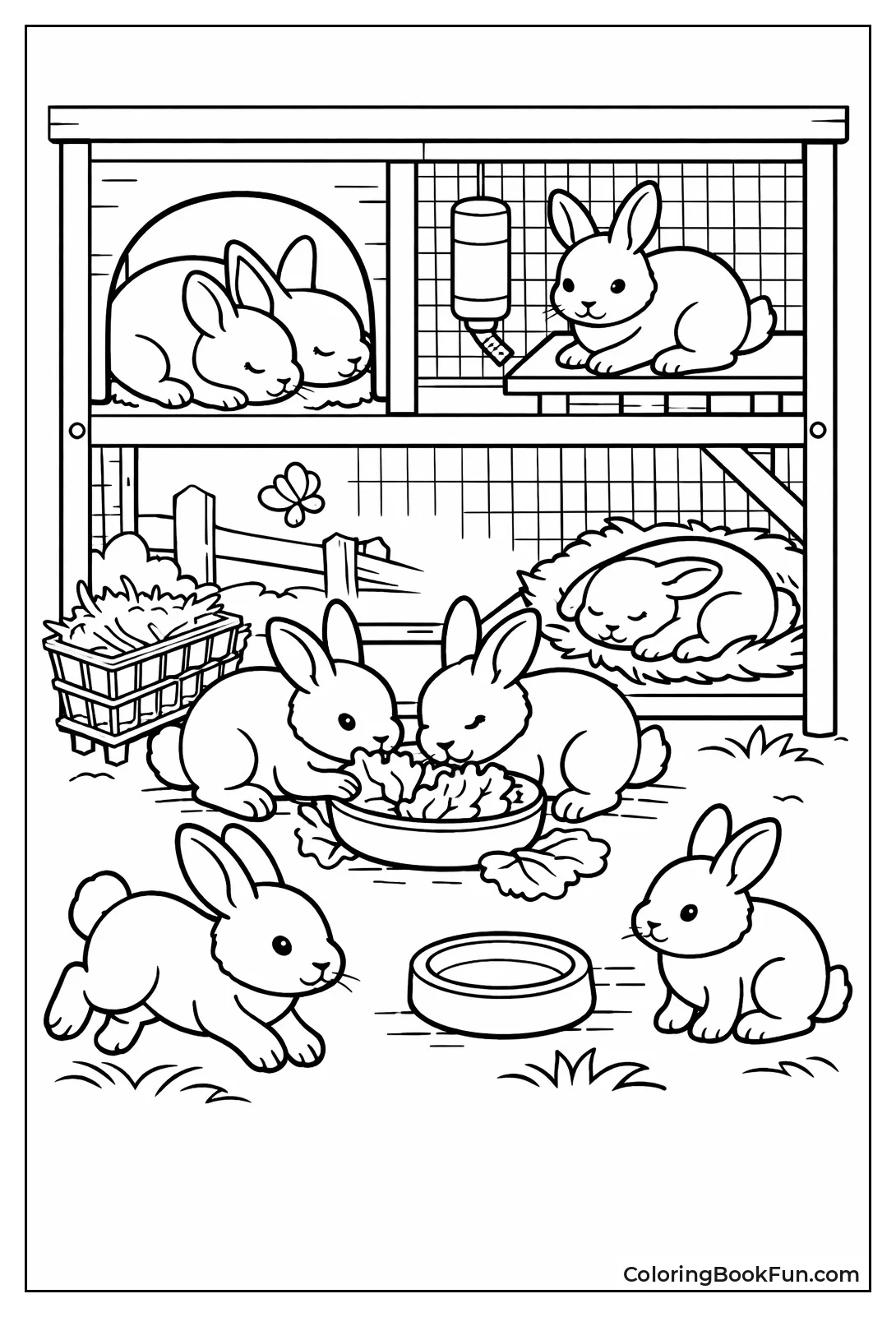 Bunnies in Rabbit Hutch