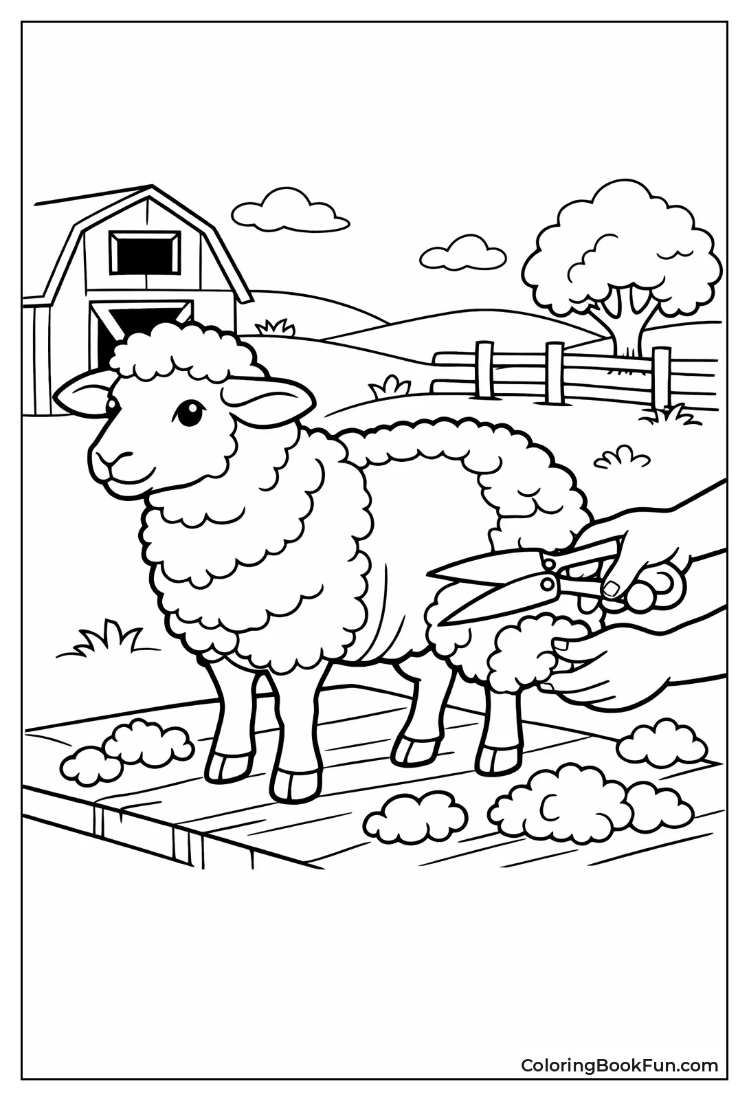 Shearing Sheep Wool Coat