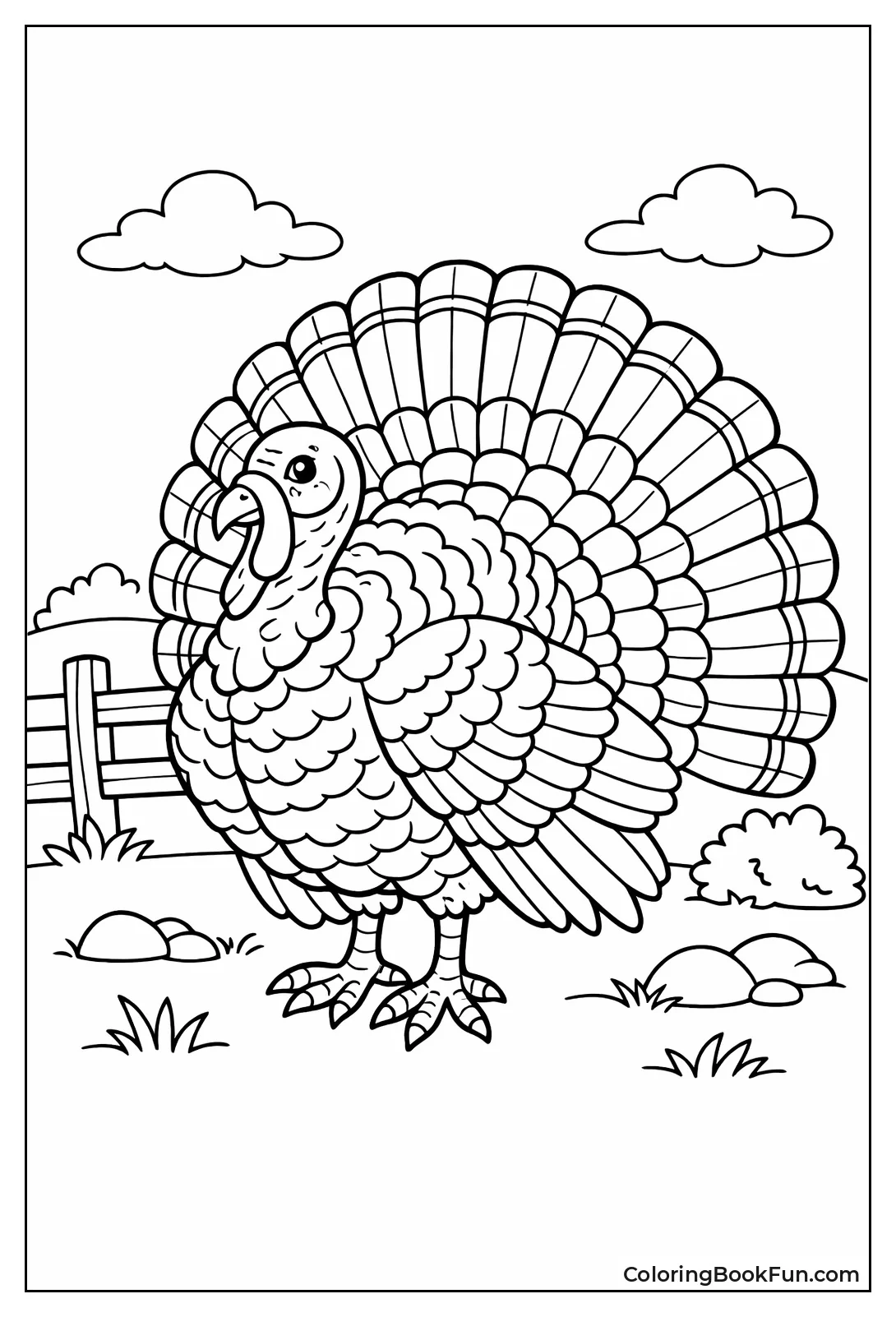 Strutting Turkey Fan Tail