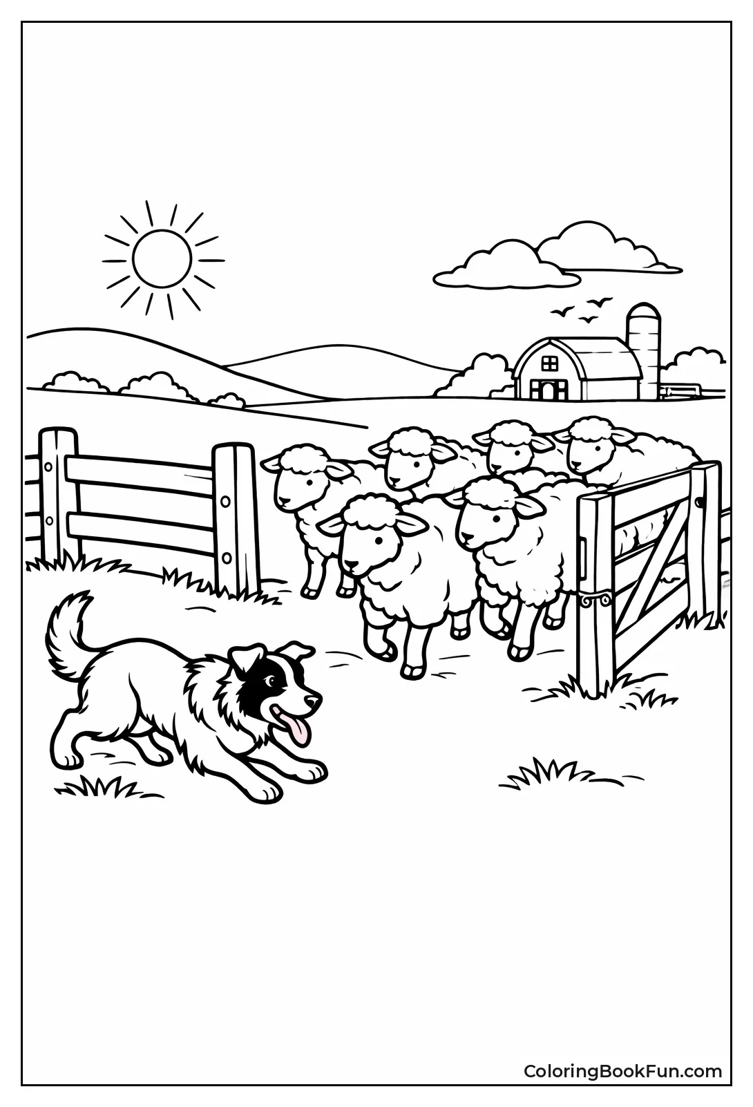 Dog Herding Sheep