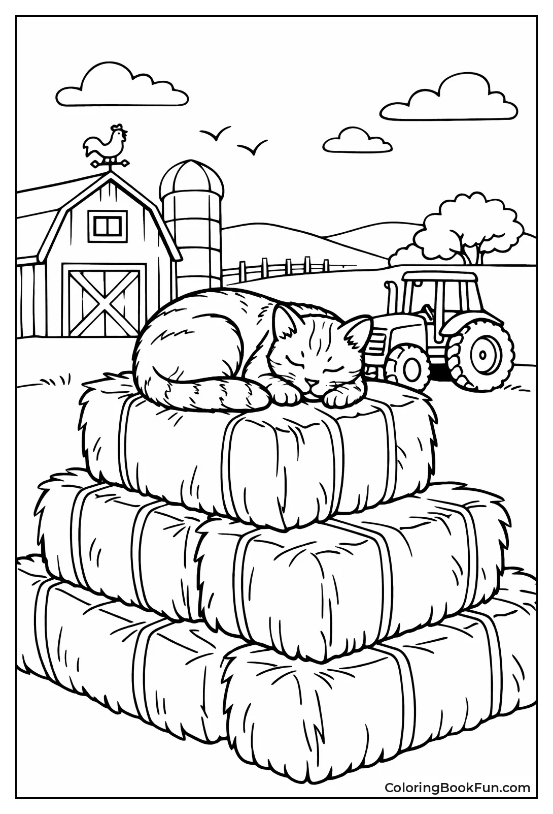 Sleeping Barn Cat
