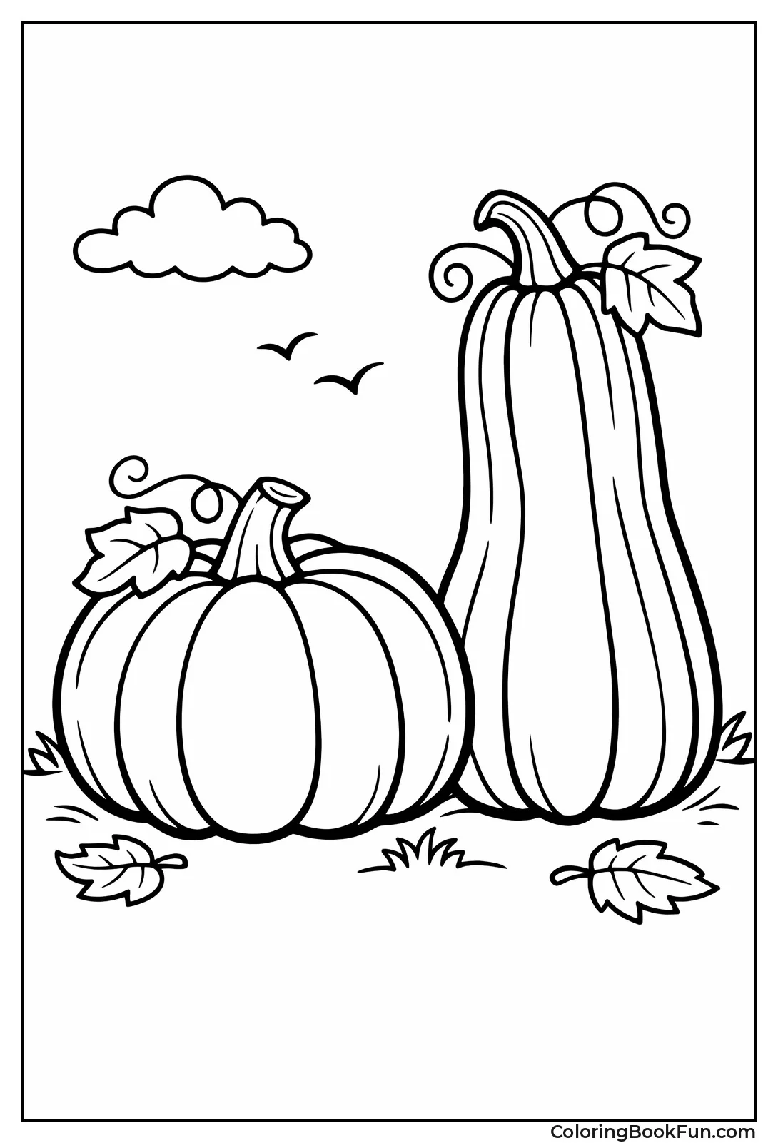 Fat and Skinny Pumpkins