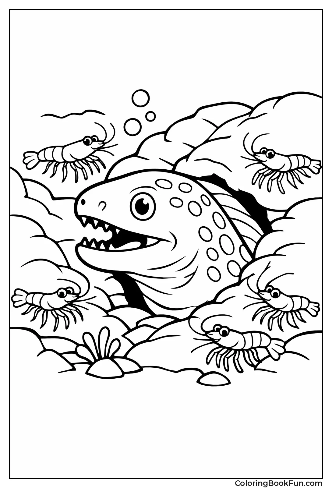 Moray Eel Hides in Rocks