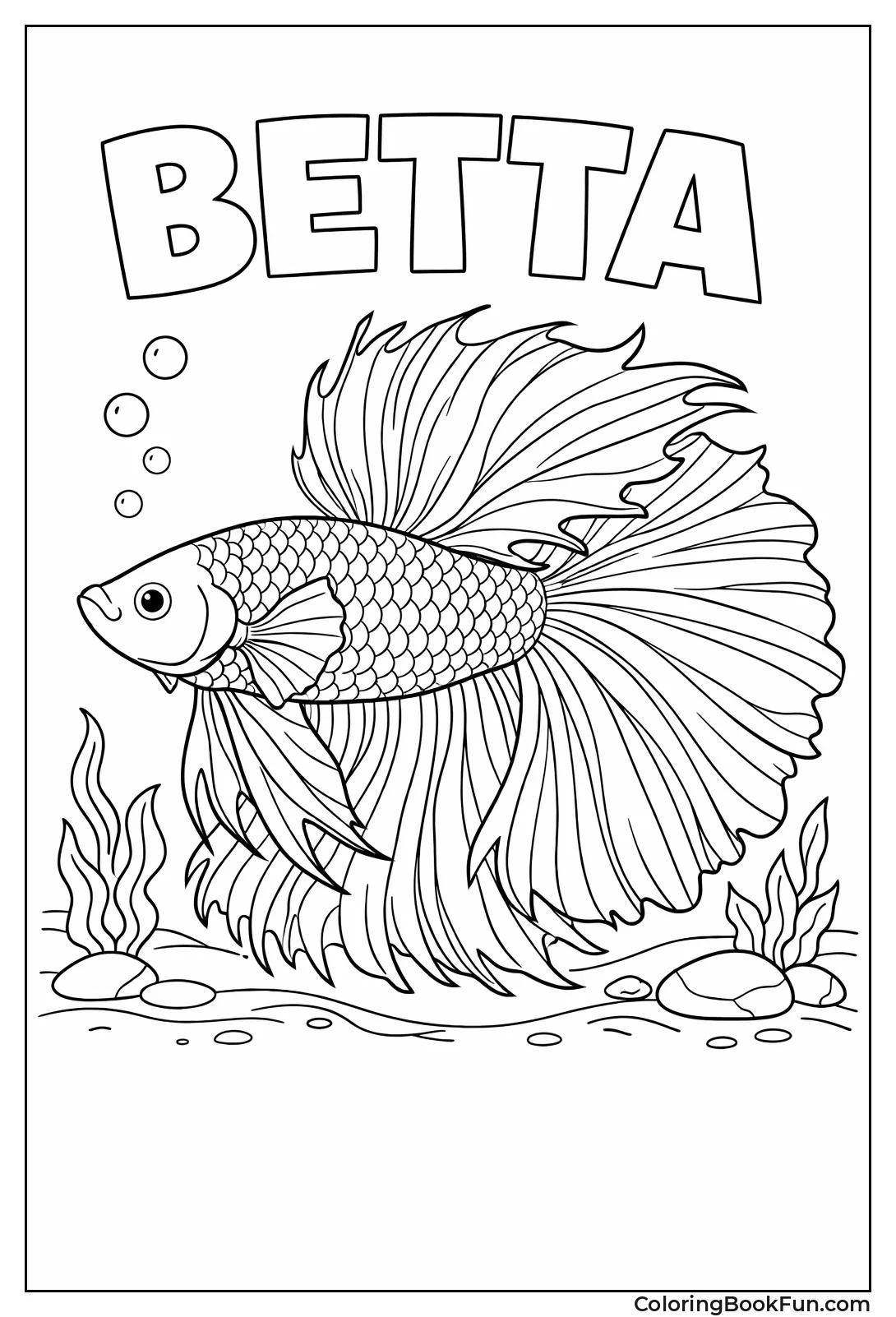 Betta Shows Fancy Fins