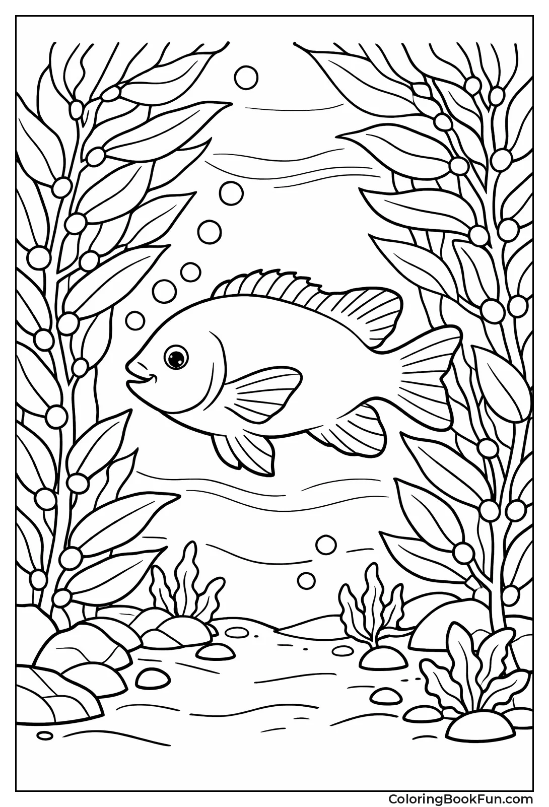 Garibaldi Swims Kelp Forest