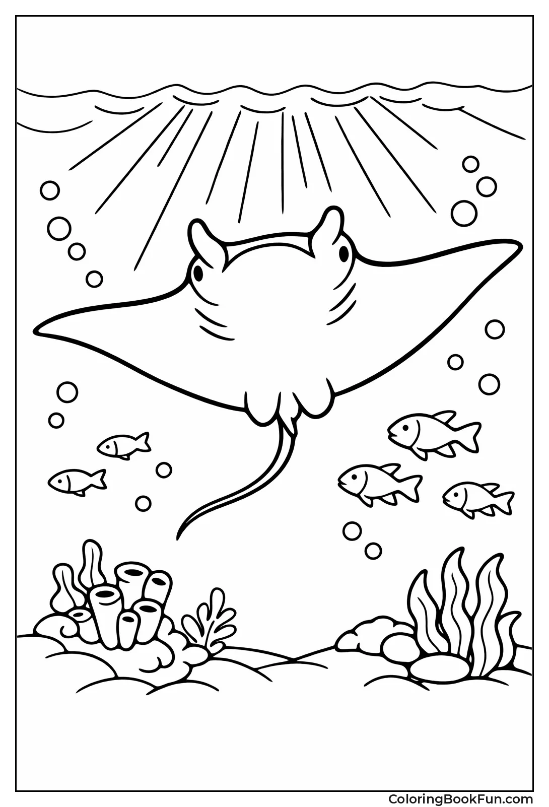 Manta Ray Glides Overhead