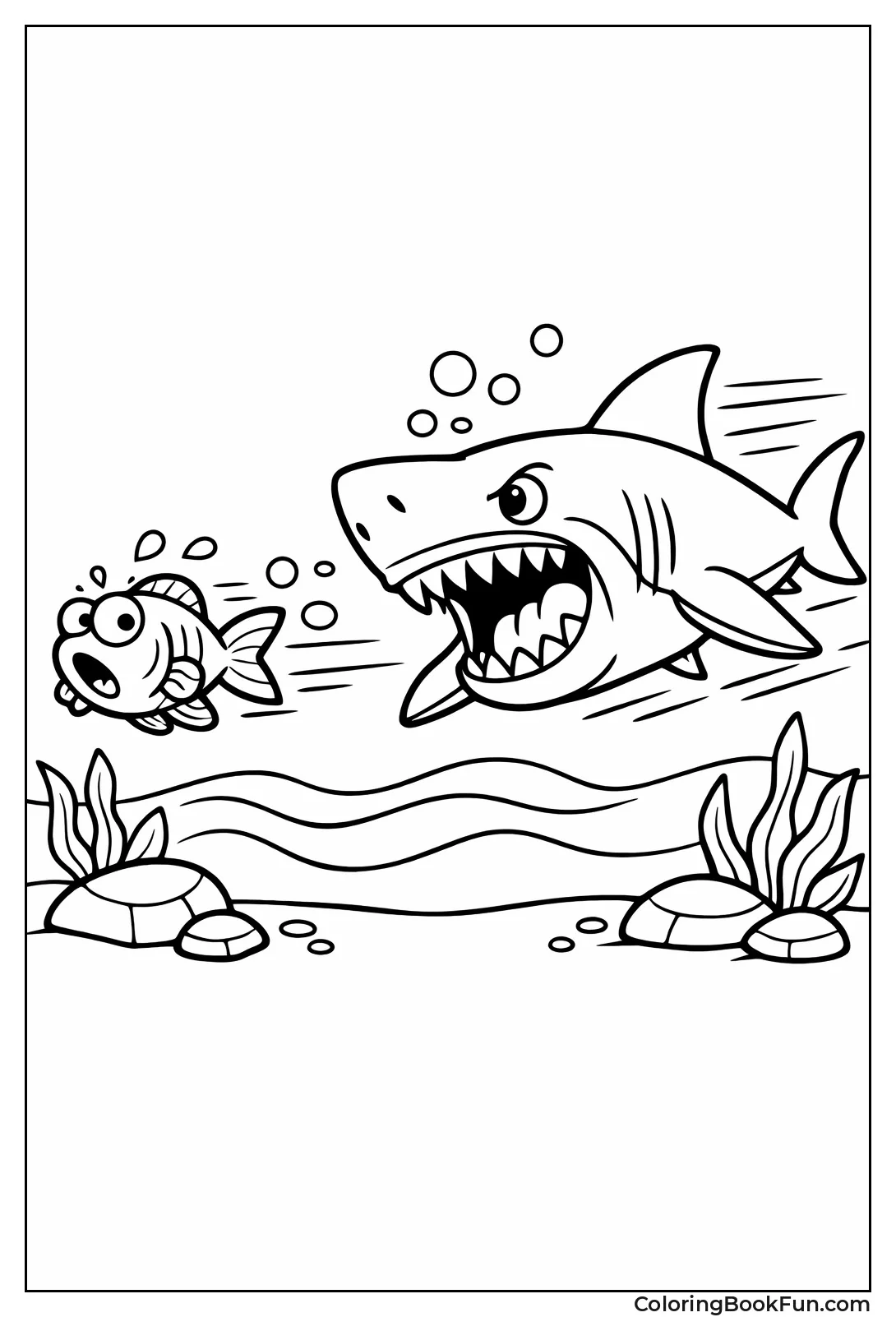 Shark Chases Little Fish