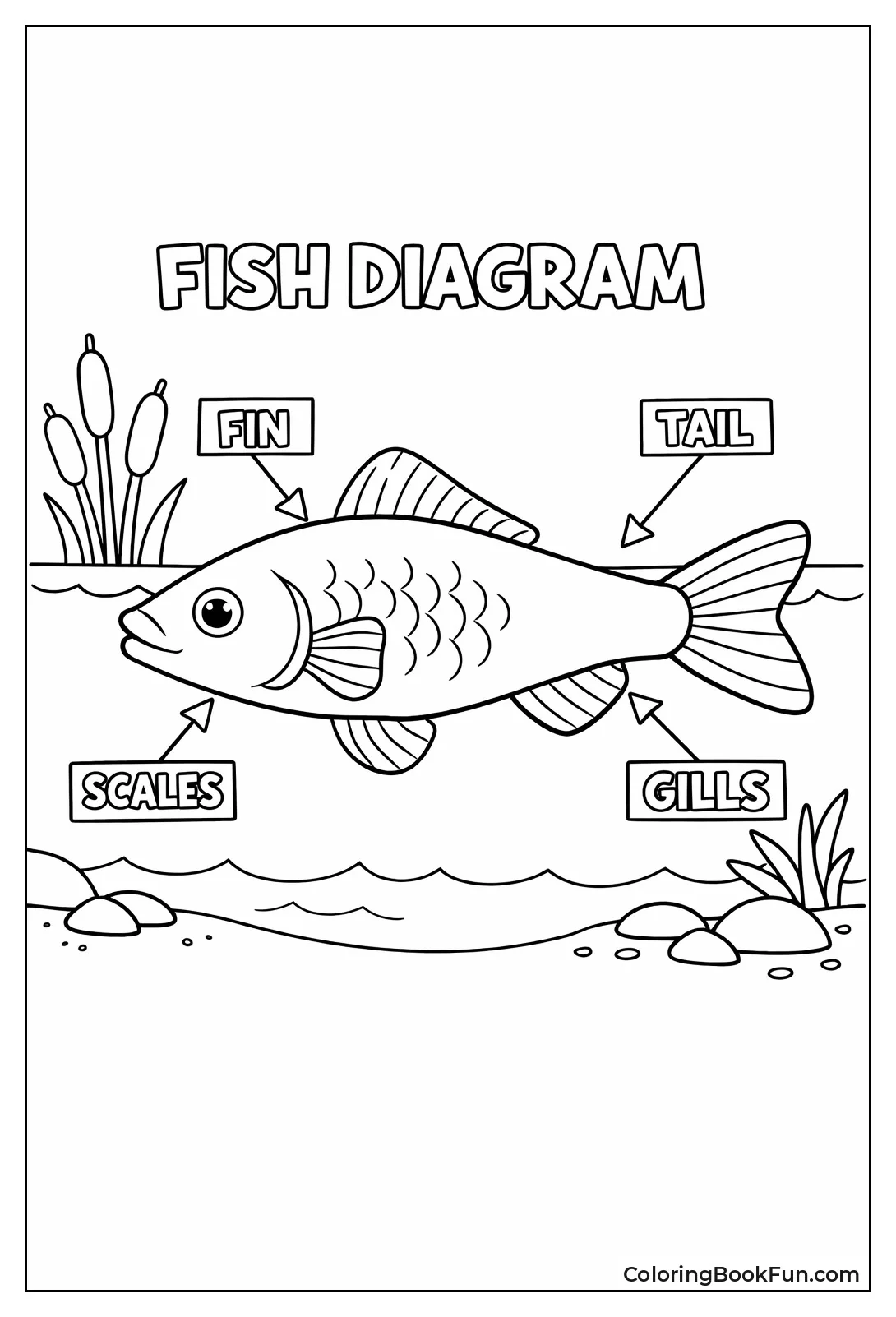 Fish with Body Labels