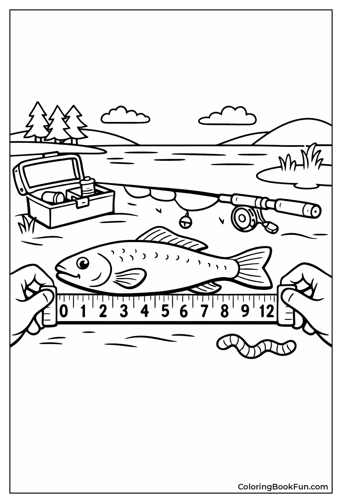 Measure Big Caught Fish