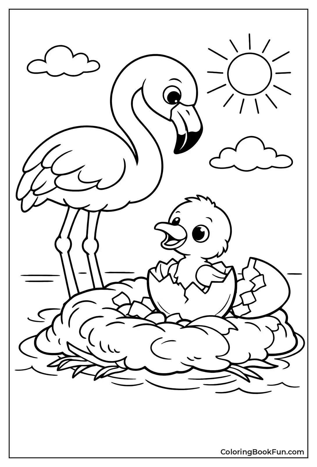 Chick Hatches from Egg