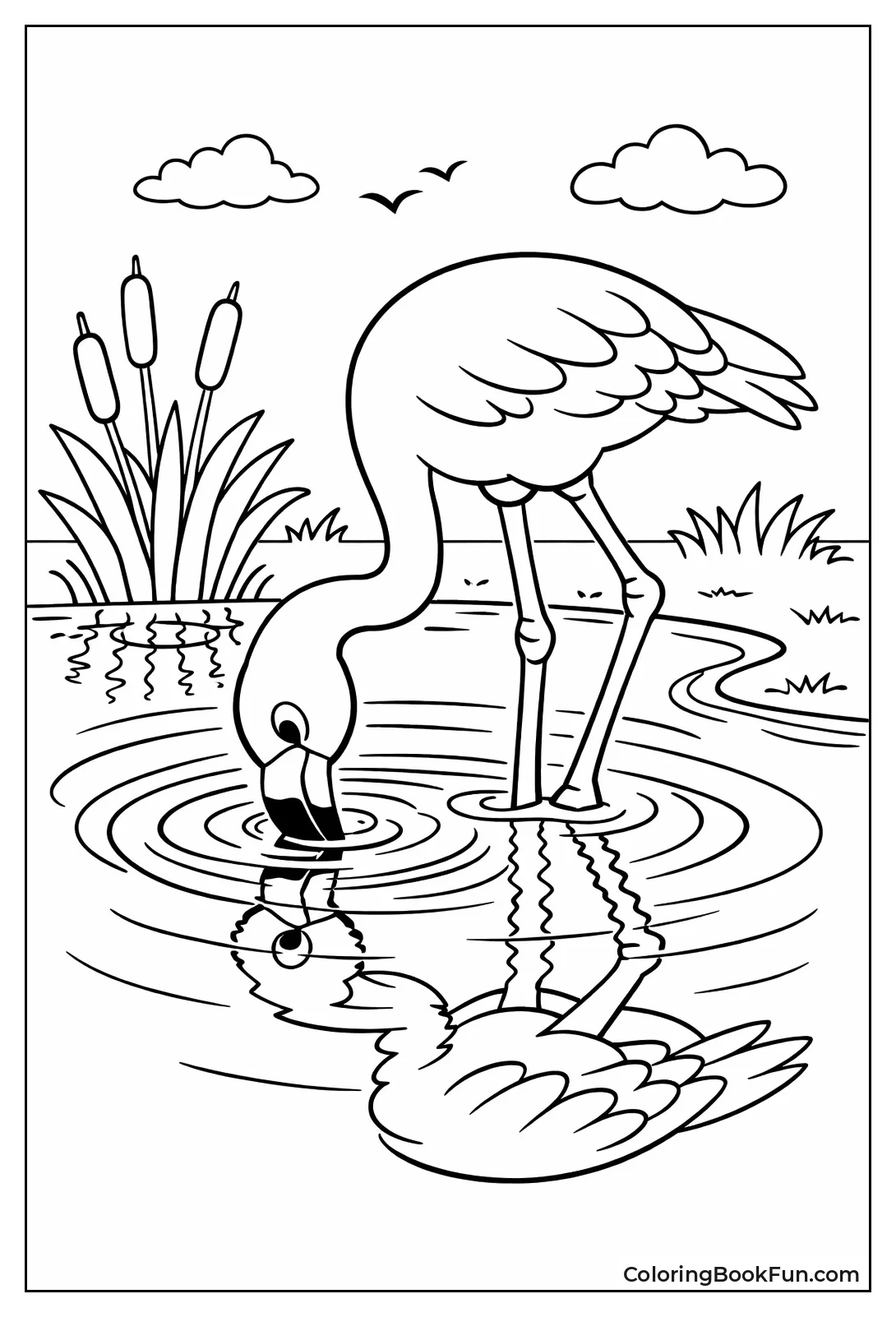 Flamingo Drinks with Reflection