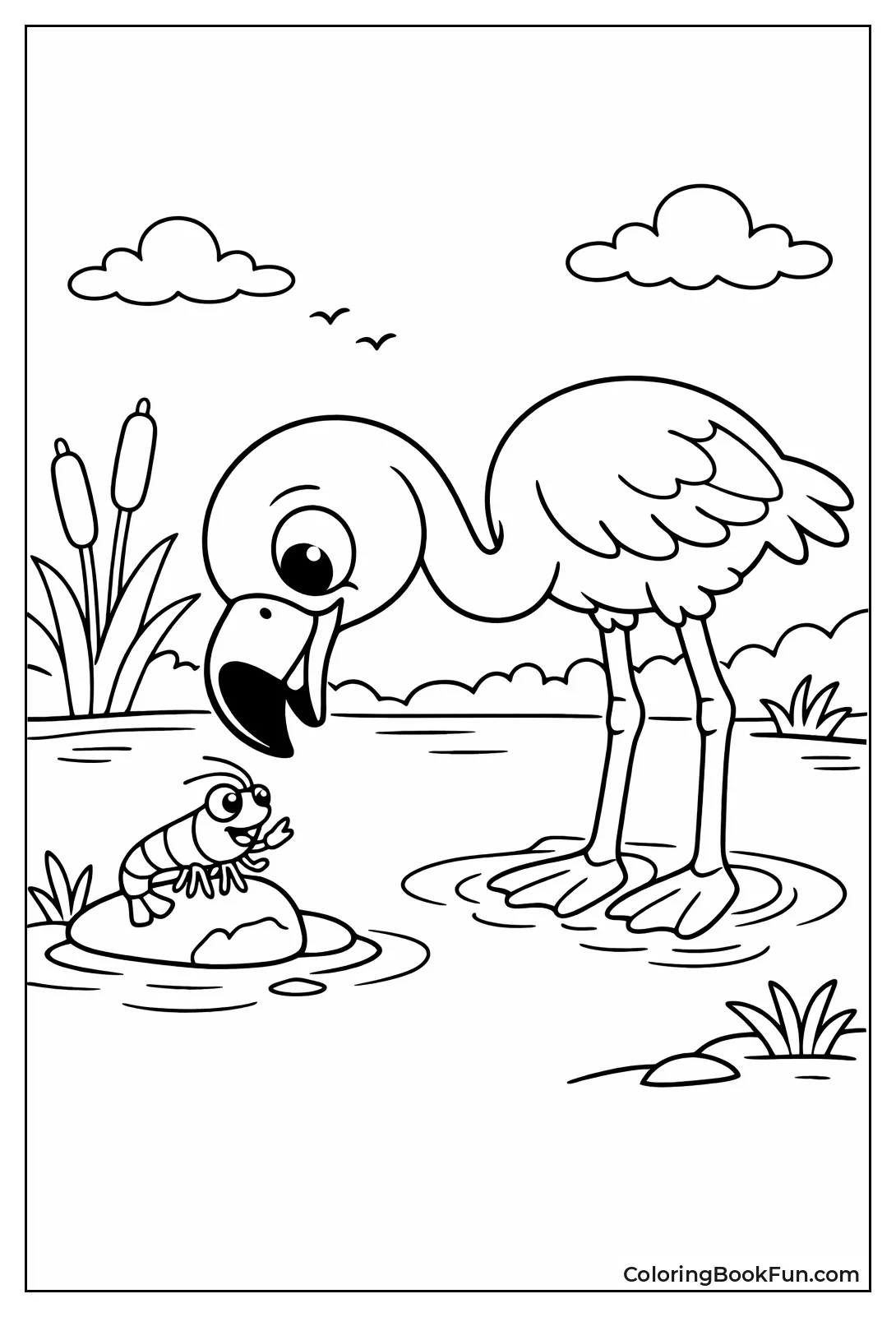 Flamingo Eyes Tiny Shrimp