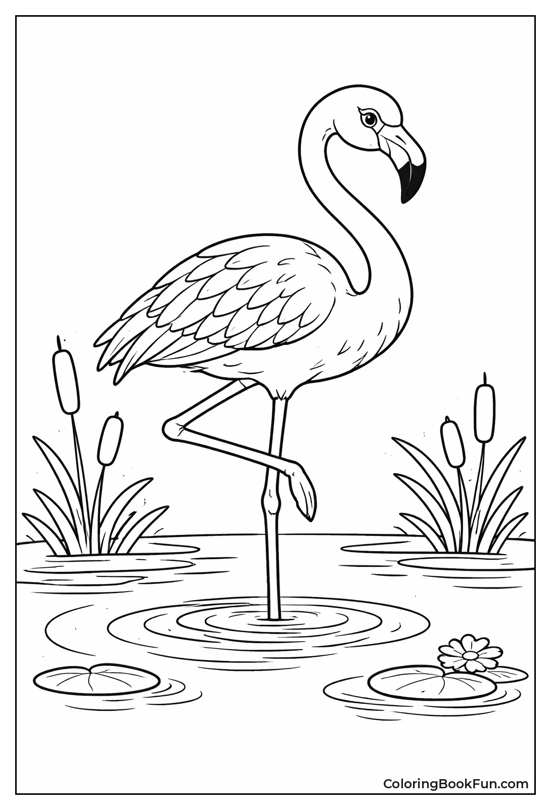Flamingo Balances on One Leg