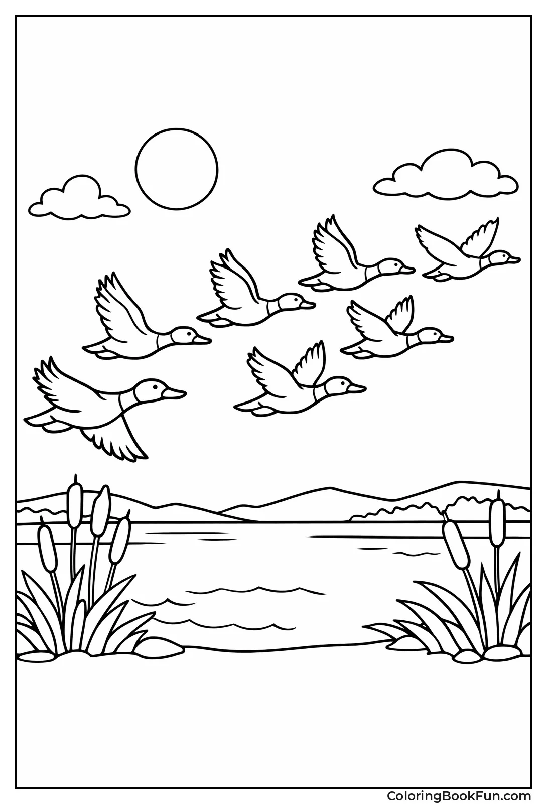 Flying Ducks in Formation