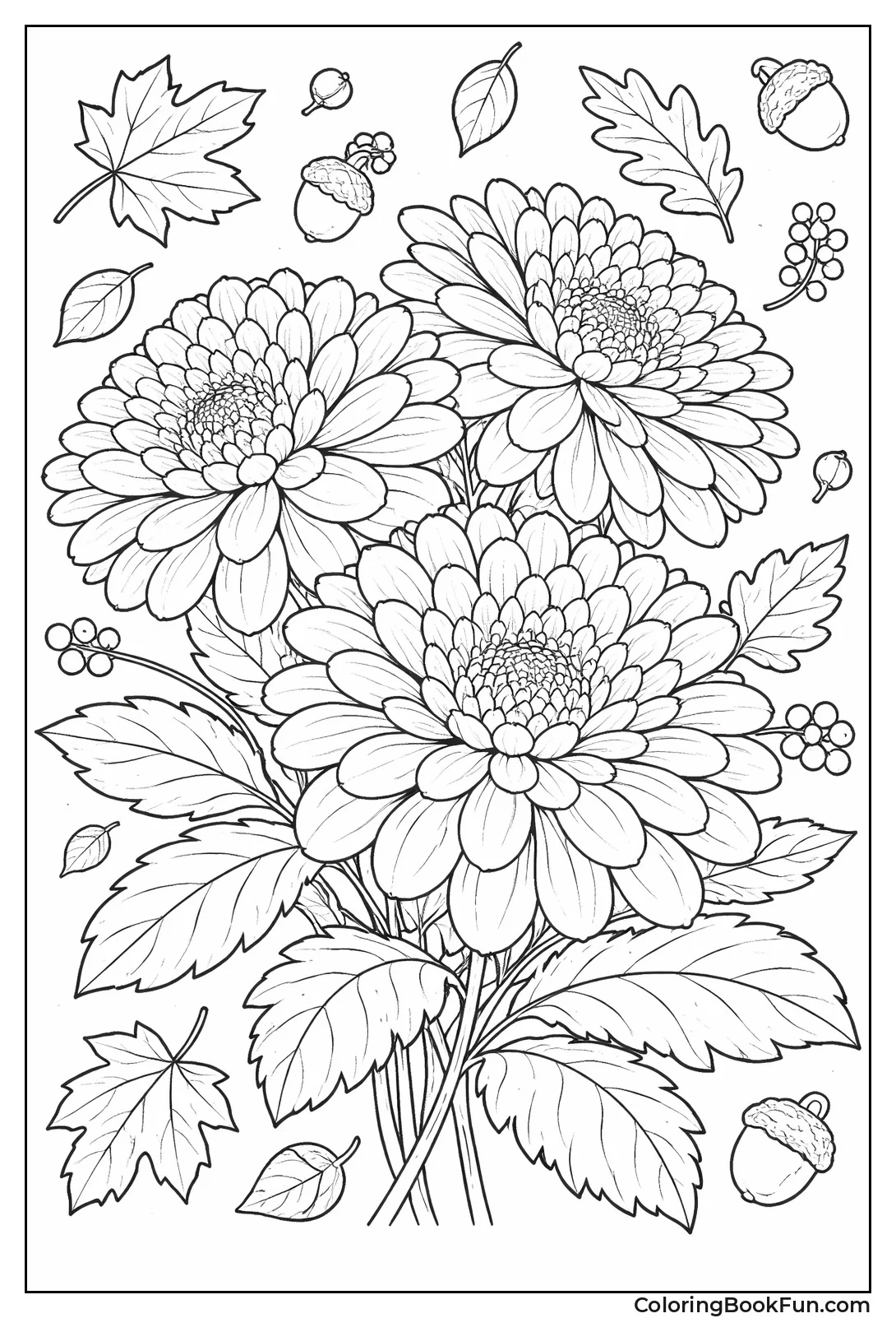 Ruffled Autumn Chrysanthemum Bloom