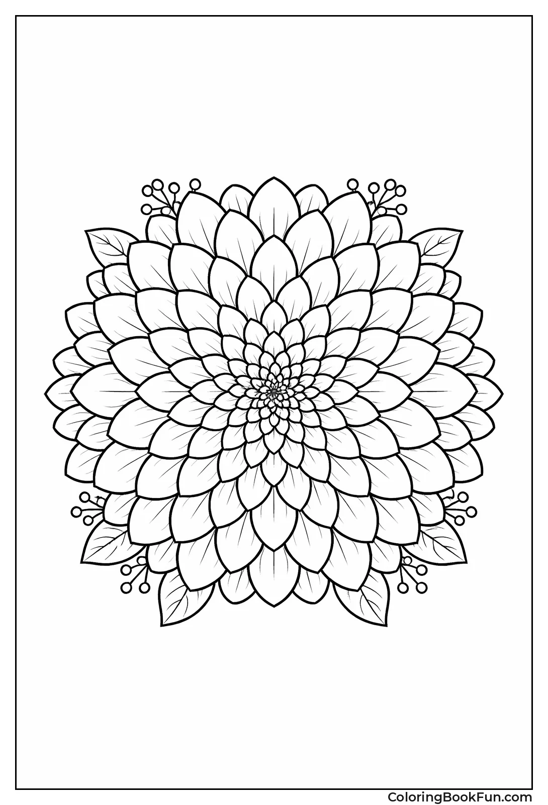 Geometric Dahlia Mandala View