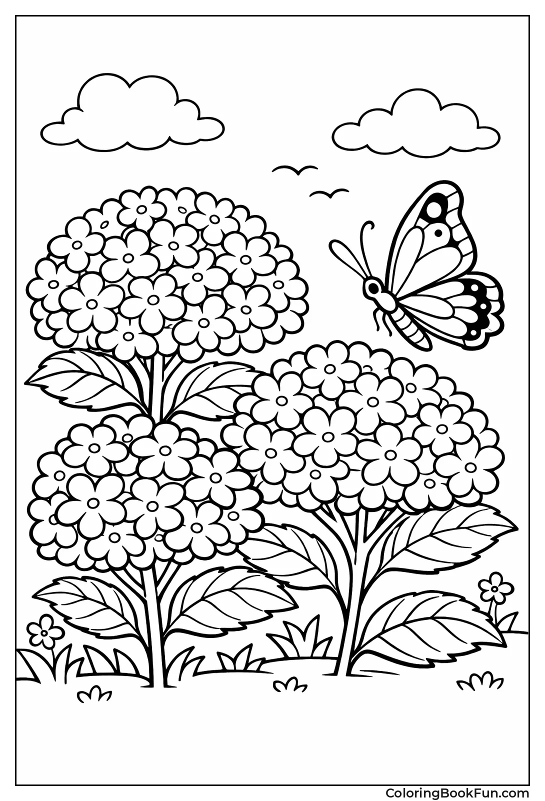 Hydrangea with Visiting Butterfly