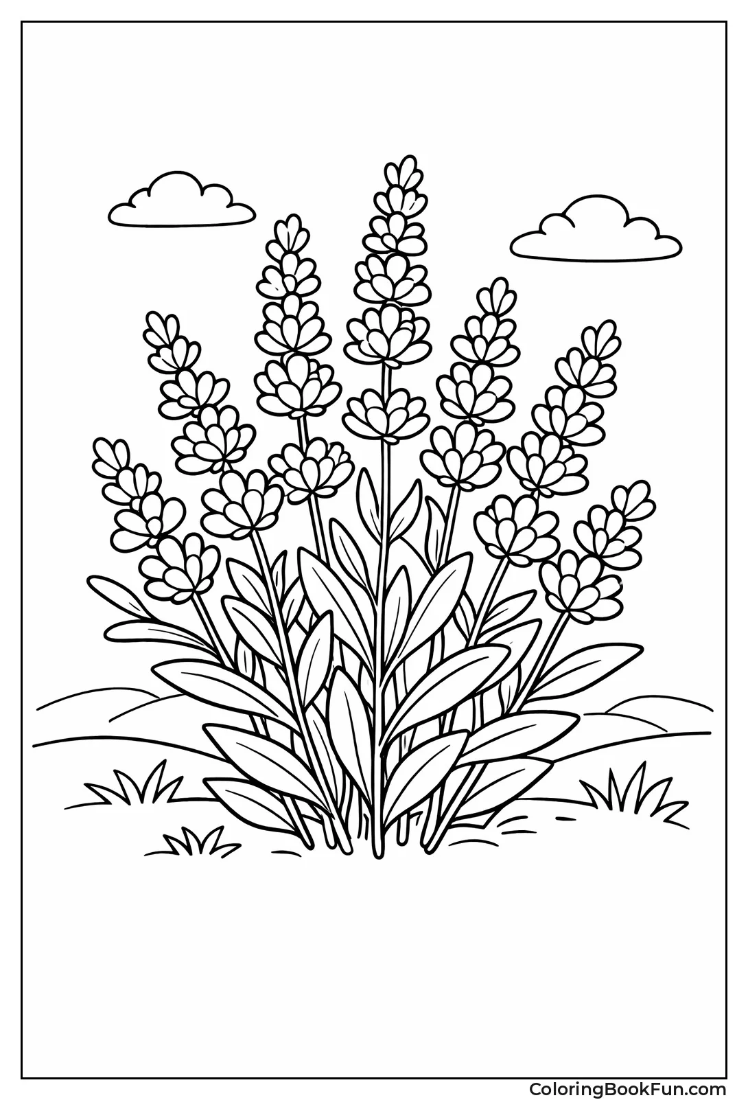 Lavender Bouquet with Florets