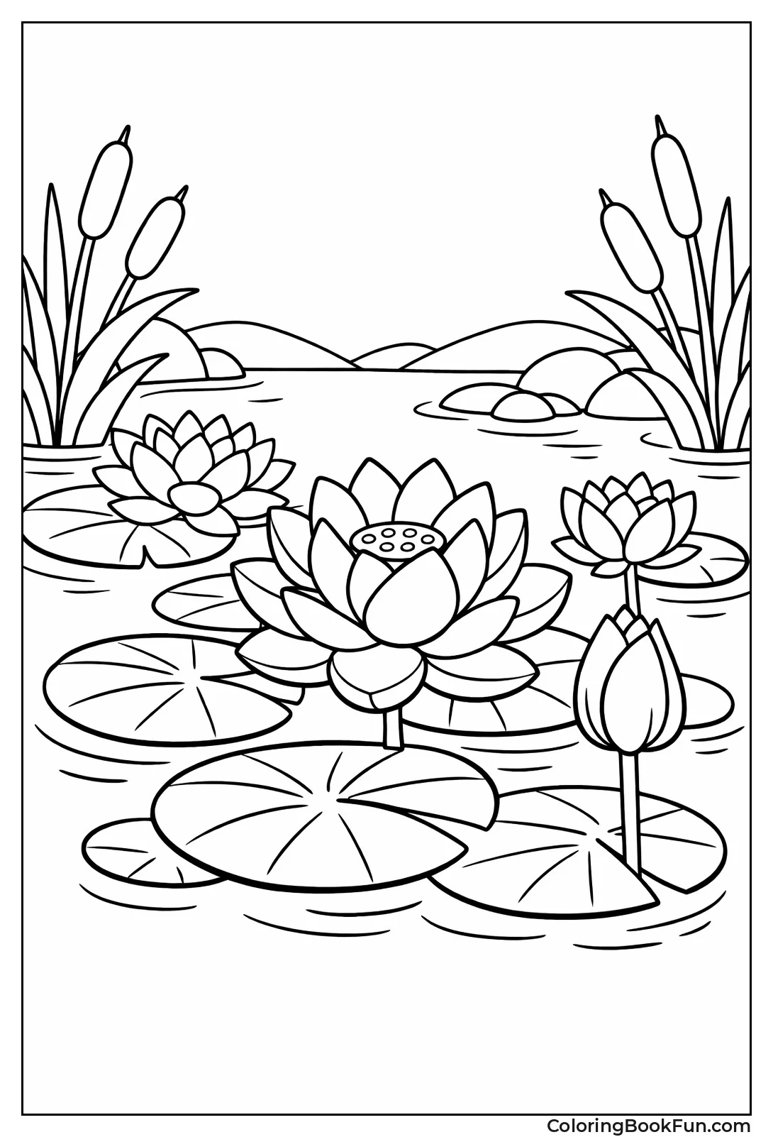 Lotus Blooms in Pond