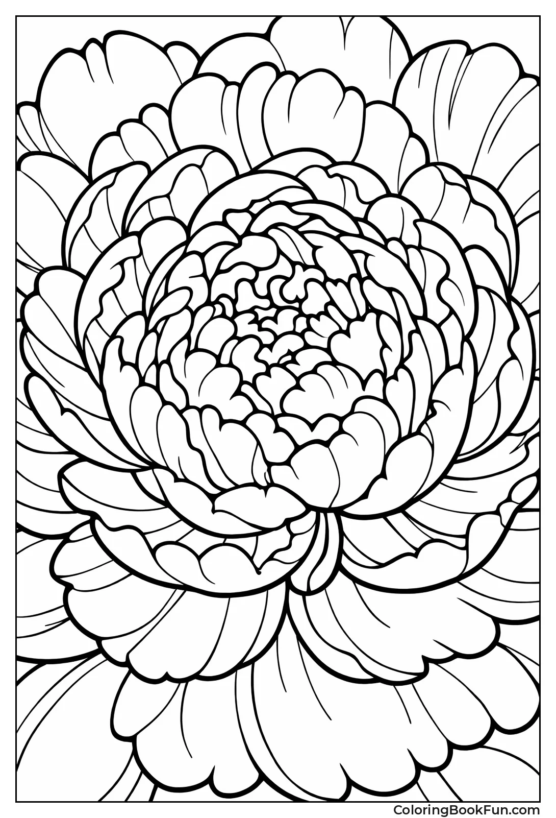 Peony Center with Ruffled Petals