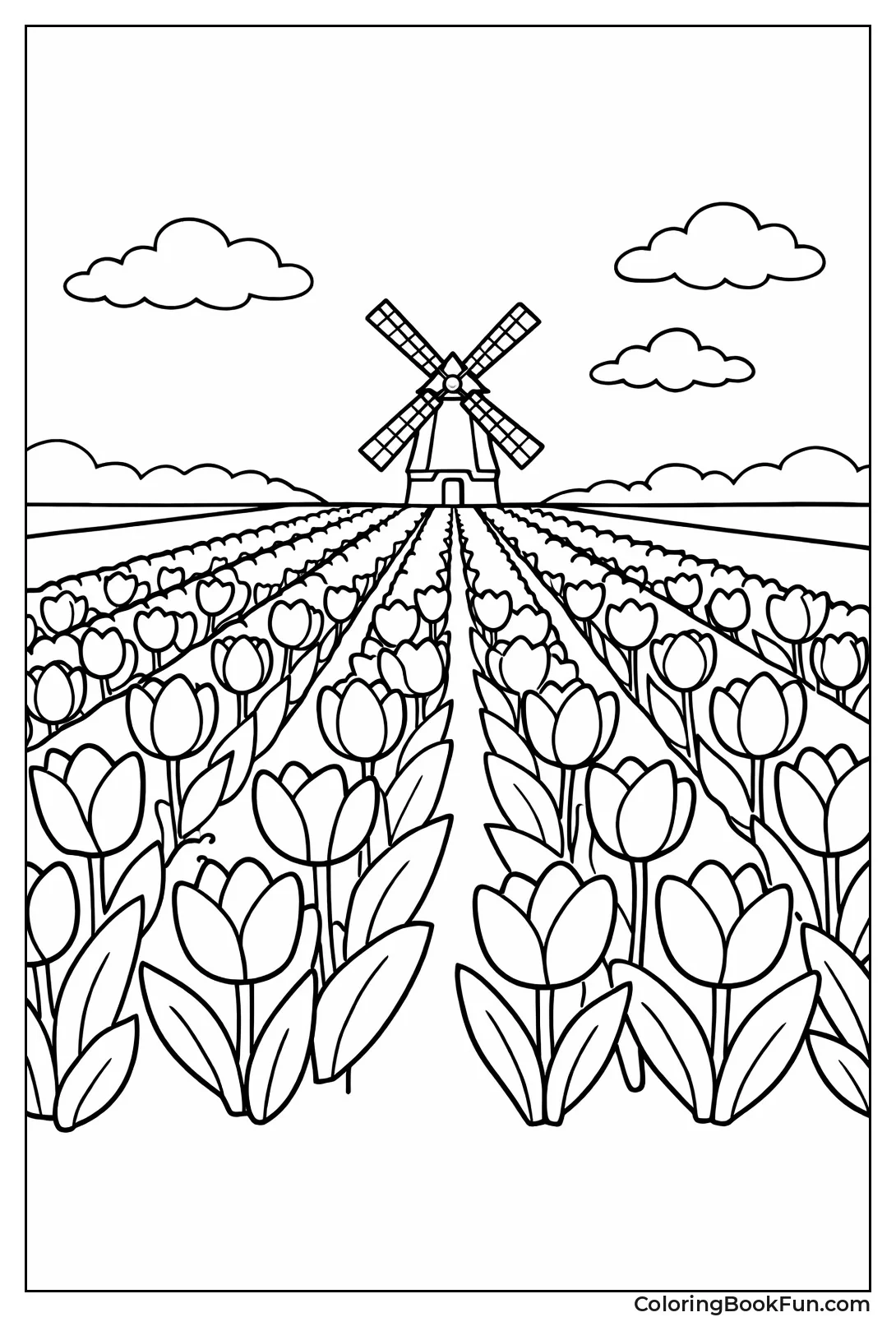 Tulip Rows to Windmill