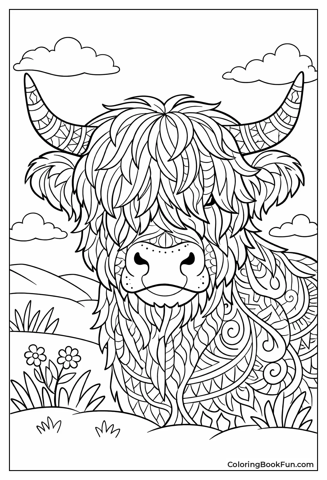 Fluffy Highland Cow Portrait