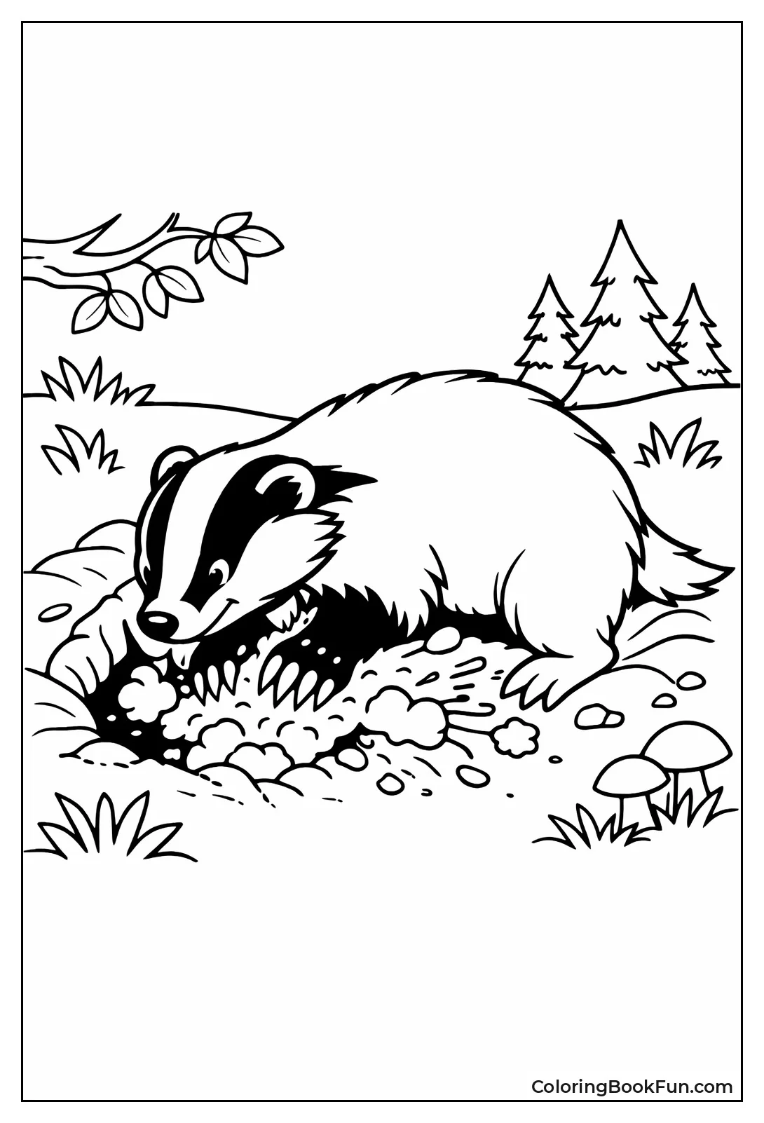 Badger Digging its Burrow