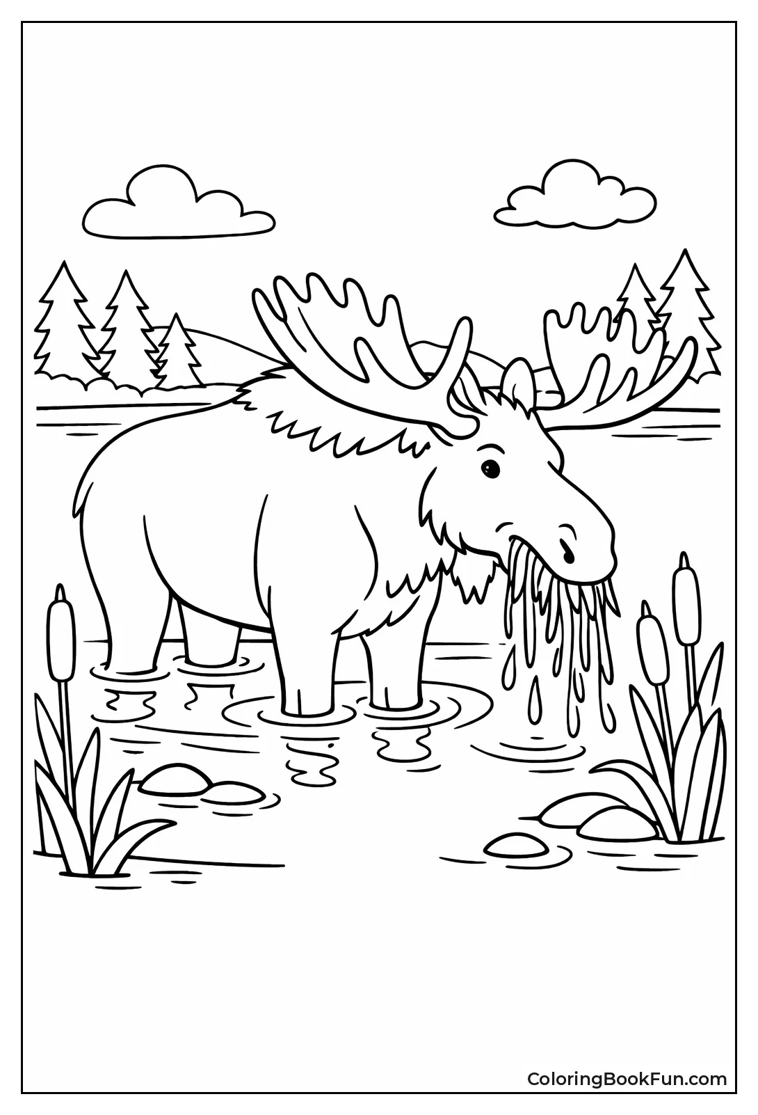 Moose Eating in Marsh Water