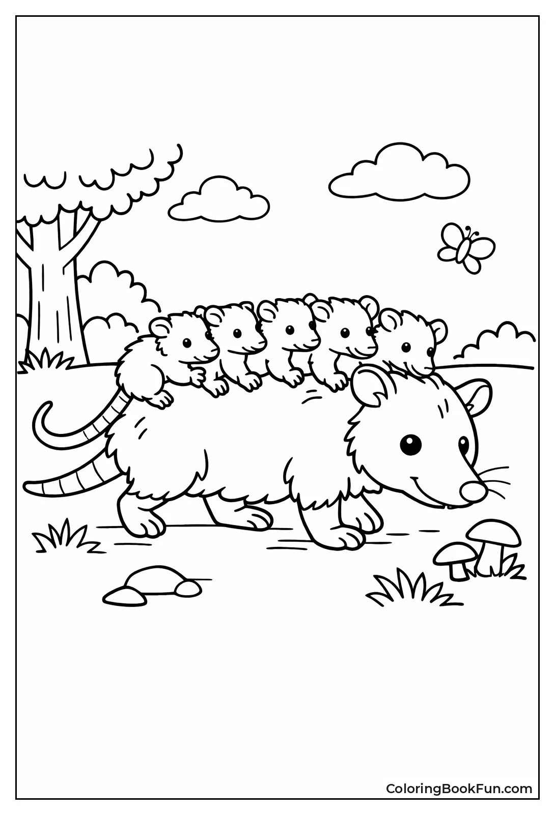 Mama Opossum with Babies on Back