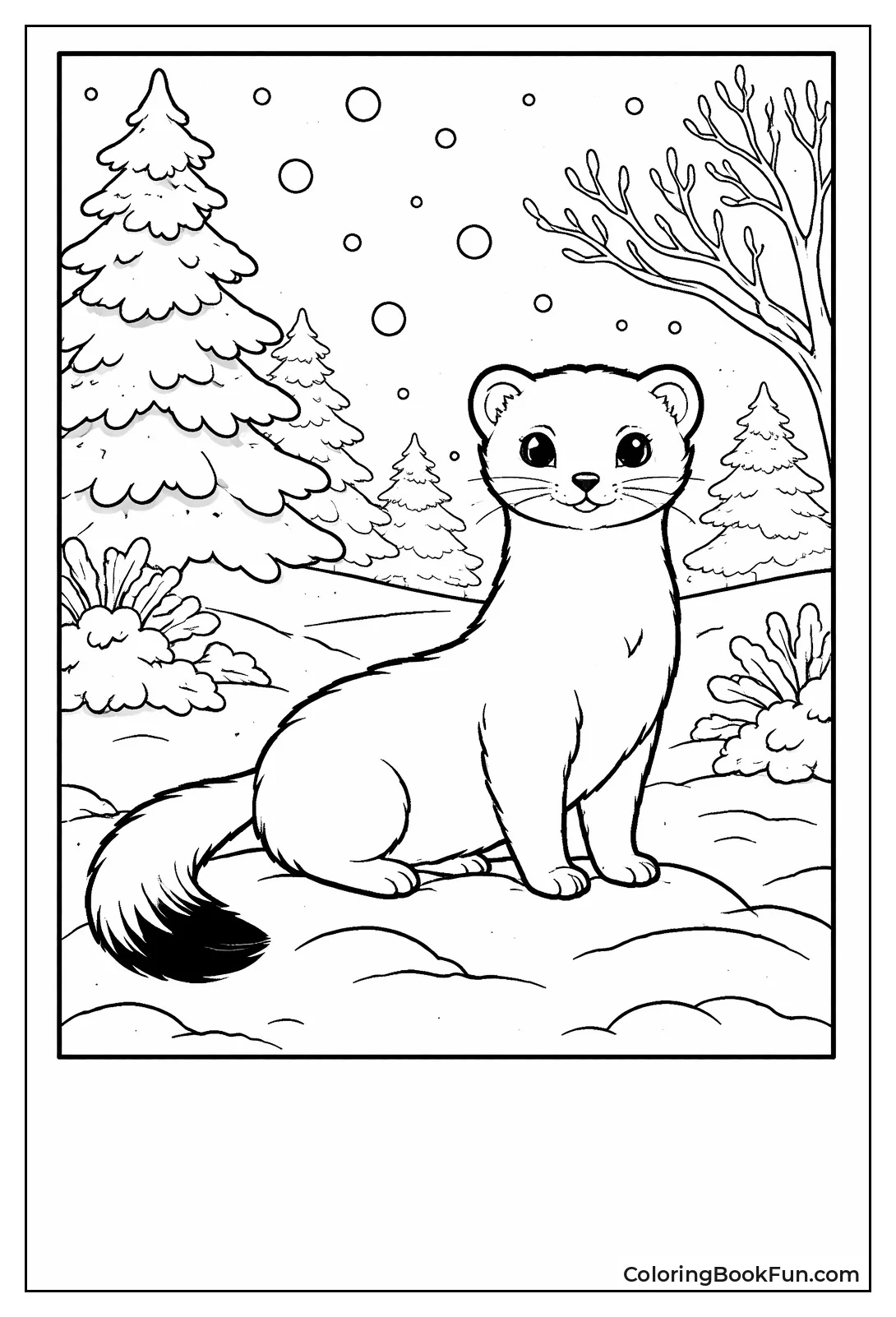 Weasel in White Winter Coat