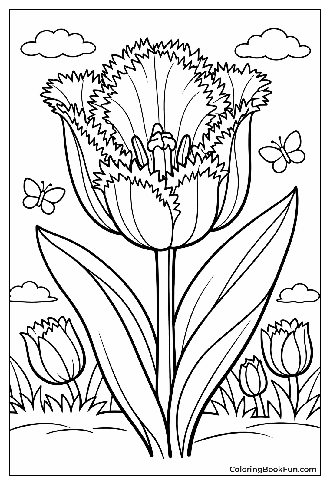 Fringed Tulip Petal Edges