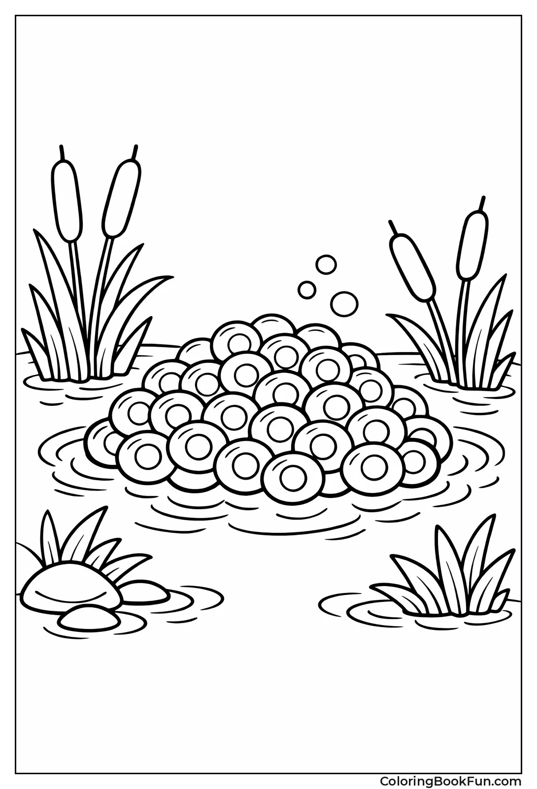 Jelly Frog Eggs in Pond