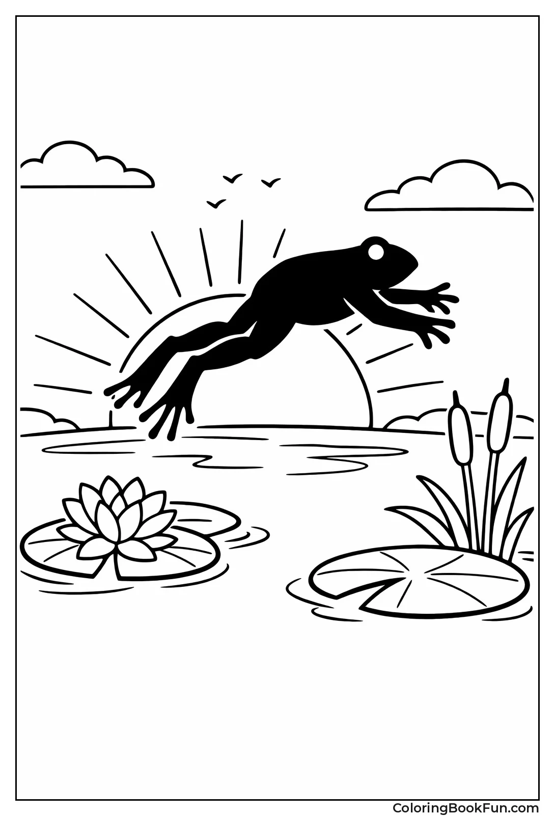 Silhouette Frog Jumps at Sunset