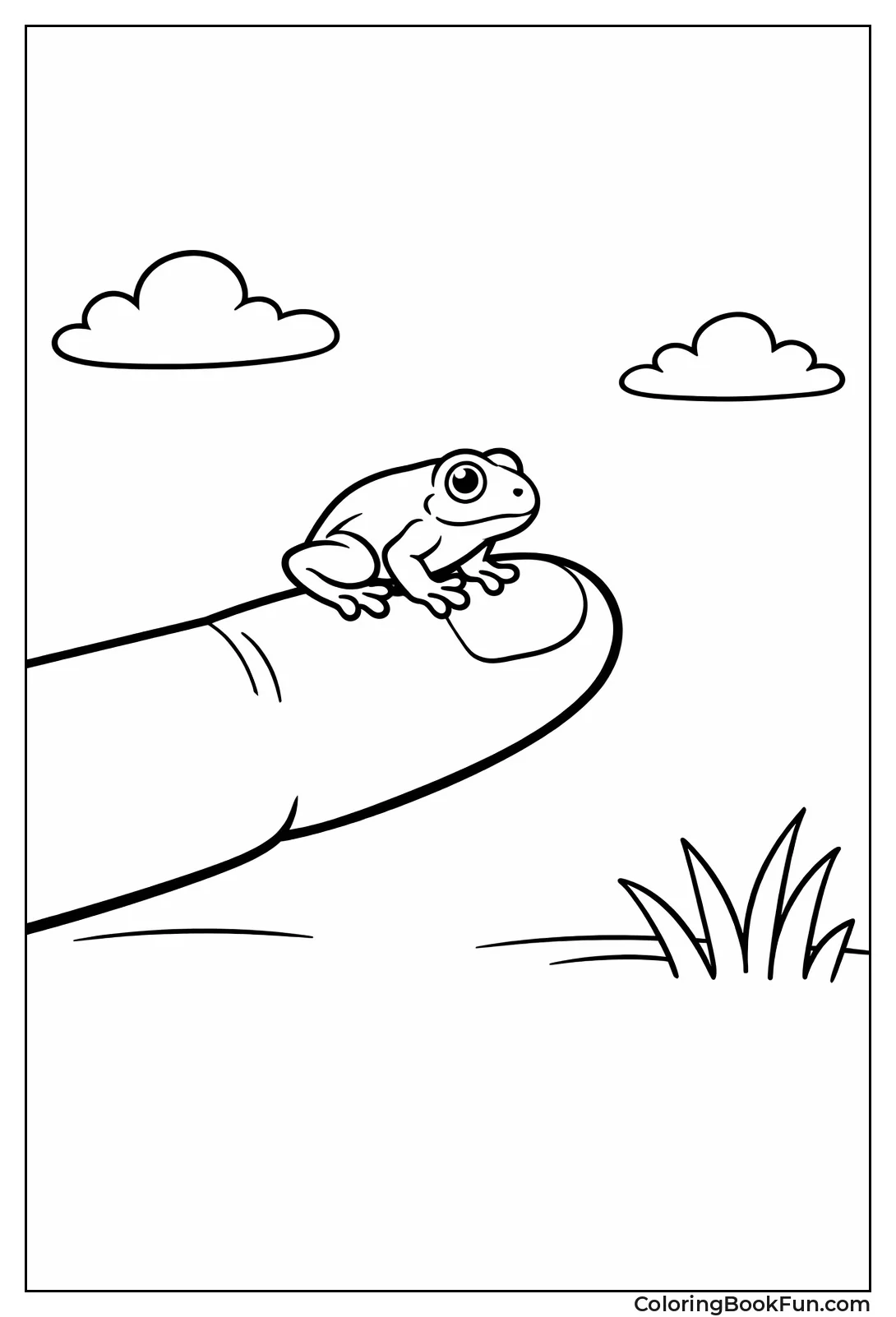 Tiny Frog on Human Finger